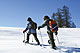 Snow shoe hiking - Picture credits: Olympiaregion Seefeld